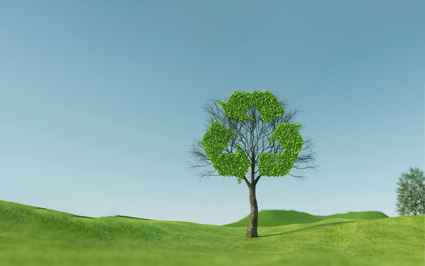 Sustainability-banner